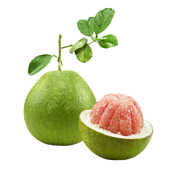 Bưởi hồng da xanh Bến Tre