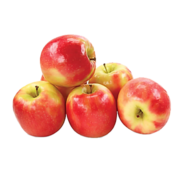 Canadian Ambrosia Apples Size 44