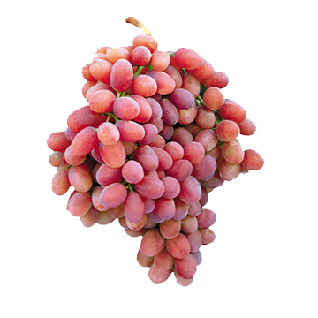 Crimson Red Grapes