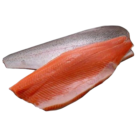 Norwegian Salmon Fillet