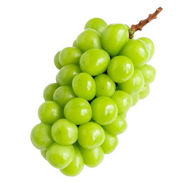 Taiwan Grape