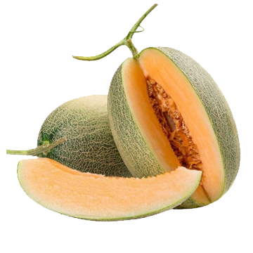 Dưa lưới Đài Loan