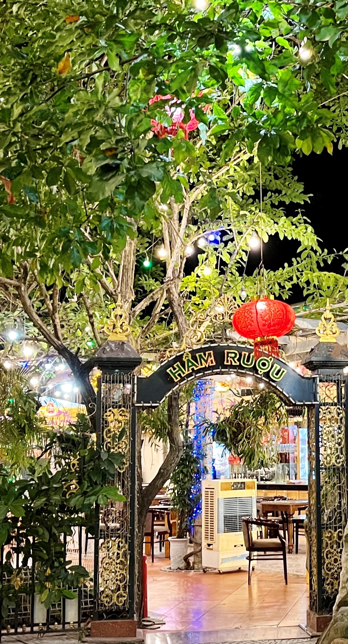 hầm rượu<br/> hải đăng